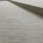 Liivakarva värvimata