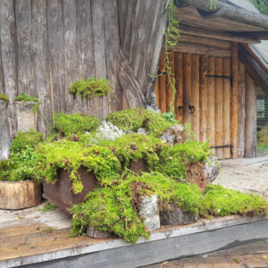 Sambla Kaunistused Pulmas