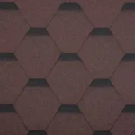 Pruun
